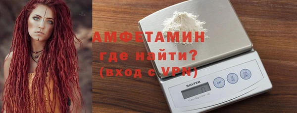 прущие грибы Медвежьегорск