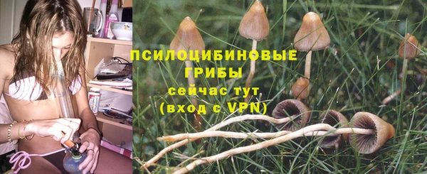 spice Мегион