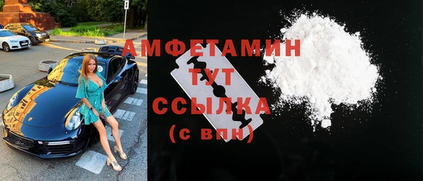 прущие грибы Медвежьегорск