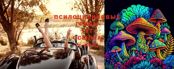 Альфа ПВП Медногорск