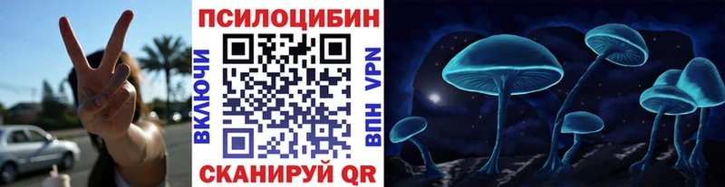 как найти наркотики  Снежинск  KRAKEN ссылки  Галлюциногенные грибы MAGIC MUSHROOMS 